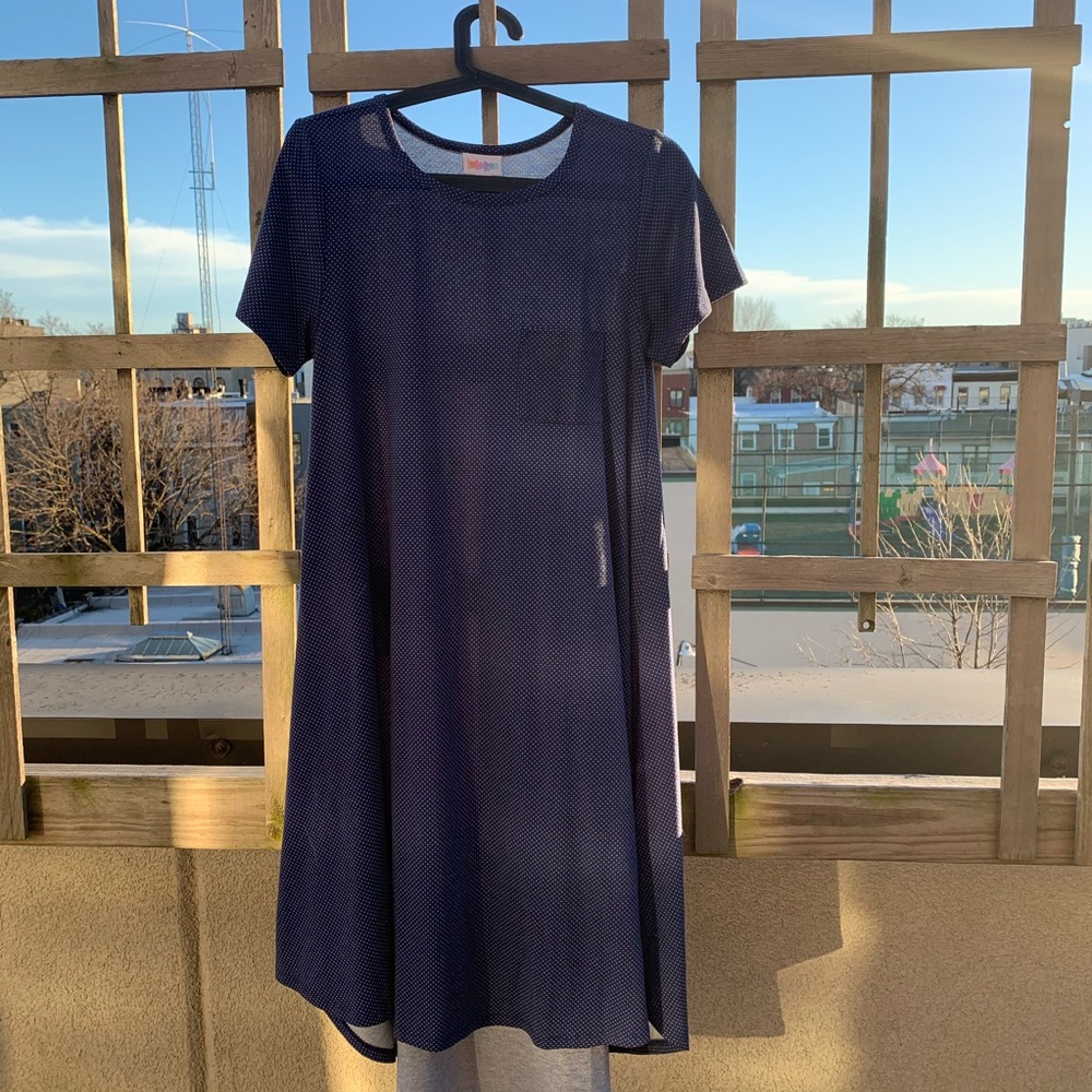 5/$25 LulaRoe Polkadot Carly Dress